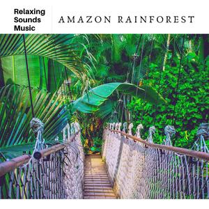 Rainforest Yoga