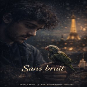 Sans Bruit
