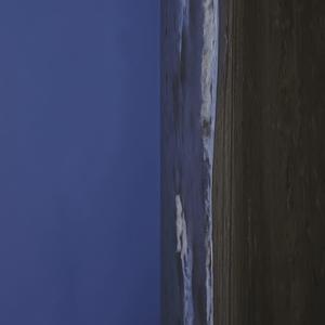 爱丁堡的蒸发树