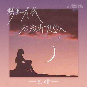 梦里有我无法再见的人