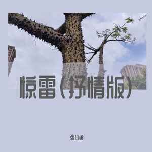 惊雷(抒情版)