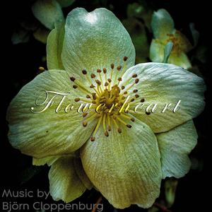 Flowerheart