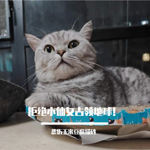 警惕小仙女占领地球