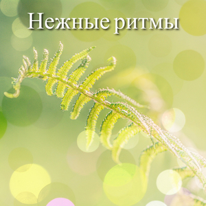 Блаженные ритмы