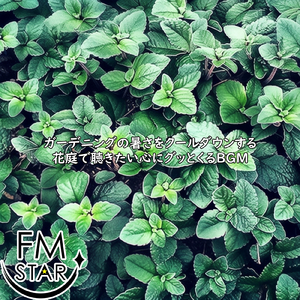 カルチャーサルサ