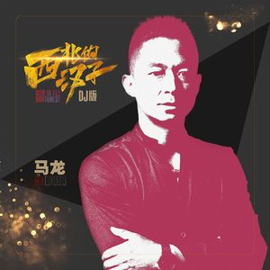 西北的汉子（DJ版）