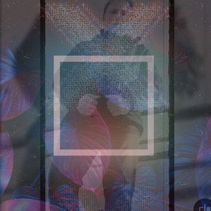 Dans Ta