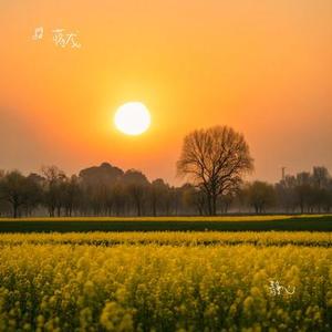 五百年沧海桑田