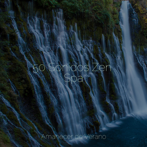 El Balance Eufórico del Crepúsculo