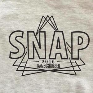 SNAP 2016 - Hjemmesnekk