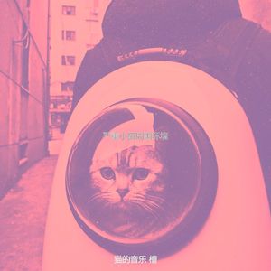 精彩压力大的猫环境