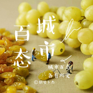 百态城市