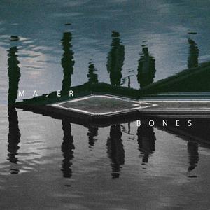 Bones