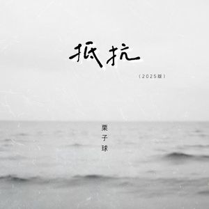 抵抗 (2025版)