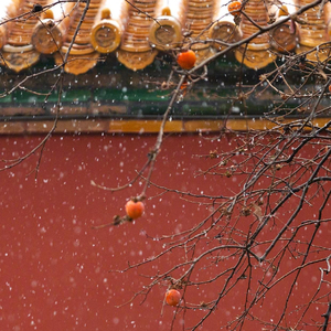 《雪落下的声音》