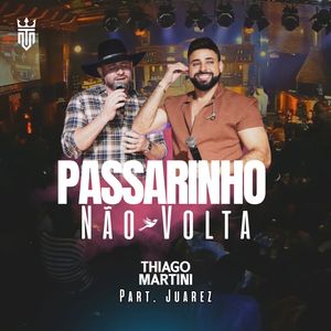 Passarinho Não Volta (Ao Vivo)
