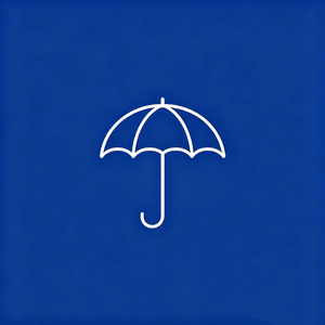 有你撑伞的雨天