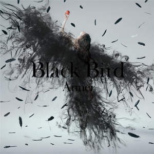 Black Bird