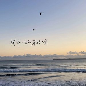 你和雪的共同点