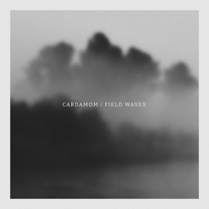 Field Waves