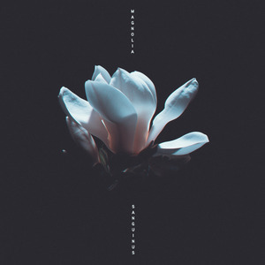 Magnolia