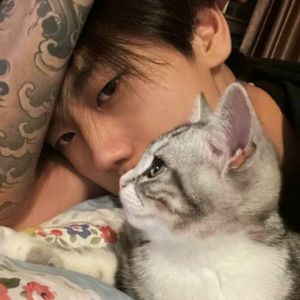 无心斗艳（2.0）