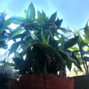 ‎‎‎‎‎‎‎‎‎‎‎‎