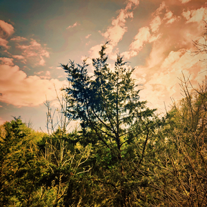 This Is How Love Feels