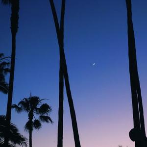 想你的夜（说唱版)