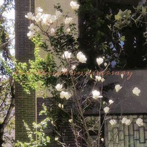 Heartbreak Anniversary Remix