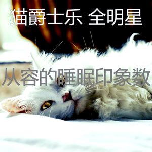 柔和的猫在家时刻