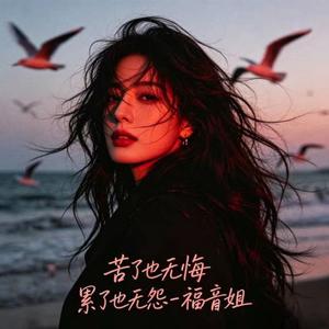 苦了也无悔 累了也无怨 (DJ涵涵版)