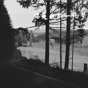 你是我的一场梦