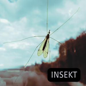 INSEKT