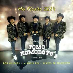 Mix Picaito