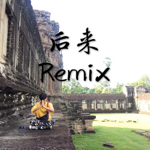 后来（Remix）（翻自 刘若英）