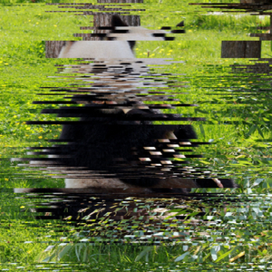 Embarrassed Satisfaction