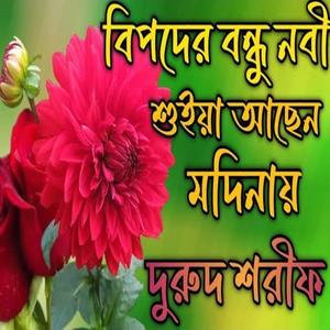 বিপদের বন্ধু নবী শুইয়া আছেন মদিনায় #দুরুদ_শরীফ