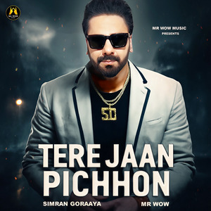 Tere Jaan Pichhon