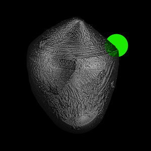 Purveyor of Pleasure (Single Version)