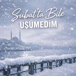 Onurhan & Masal - Şubat