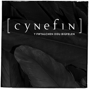 Y Fwyalchen Ddu Bigfelen