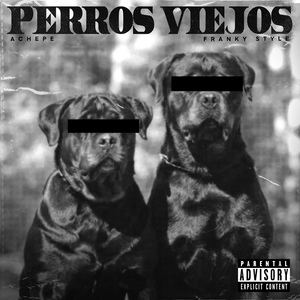 Perros Viejos
