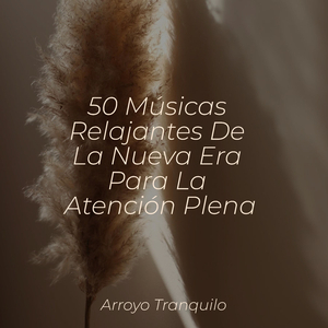 Reflexiones Tranquilas