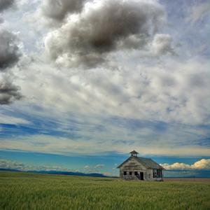 风吹麦浪（纯音乐纯享版）