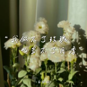我做不了玫瑰也当不了月季