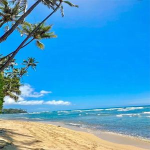 妈妈你的爱 让我无畏