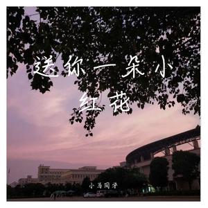 送你一朵小红花（翻自 赵英俊）