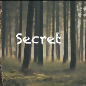 Secret (piano)
