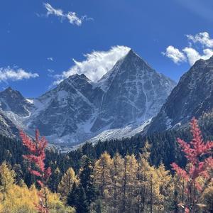 我有烈酒和孤独